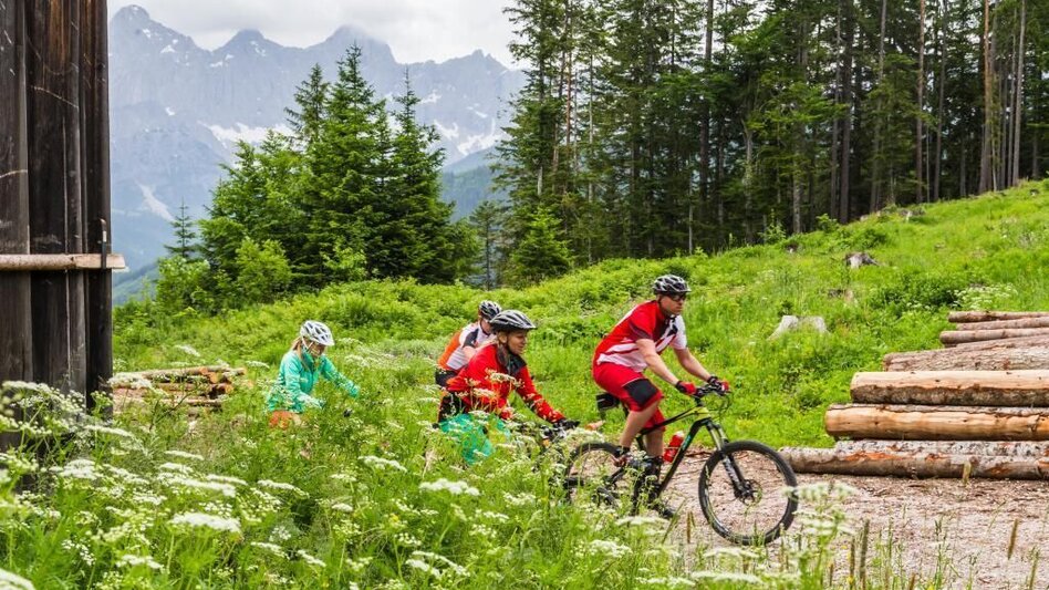 Mountainbike Eibenberg Runde | SW 11 - Touren-Impression #2.6 | © SSW/Coen Weesjes