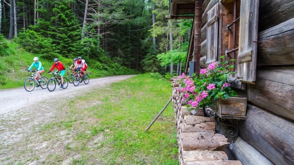 Mountainbike Eibenberg Runde | SW 11 - Touren-Impression #2.8 | © SSW/Coen Weesjes