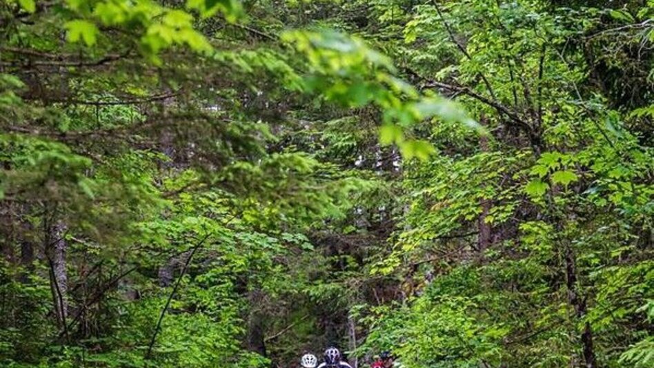 Mountainbike Eibenberg Runde | SW 11 - Touren-Impression #2.3 | © SSW/Coen Weesjes