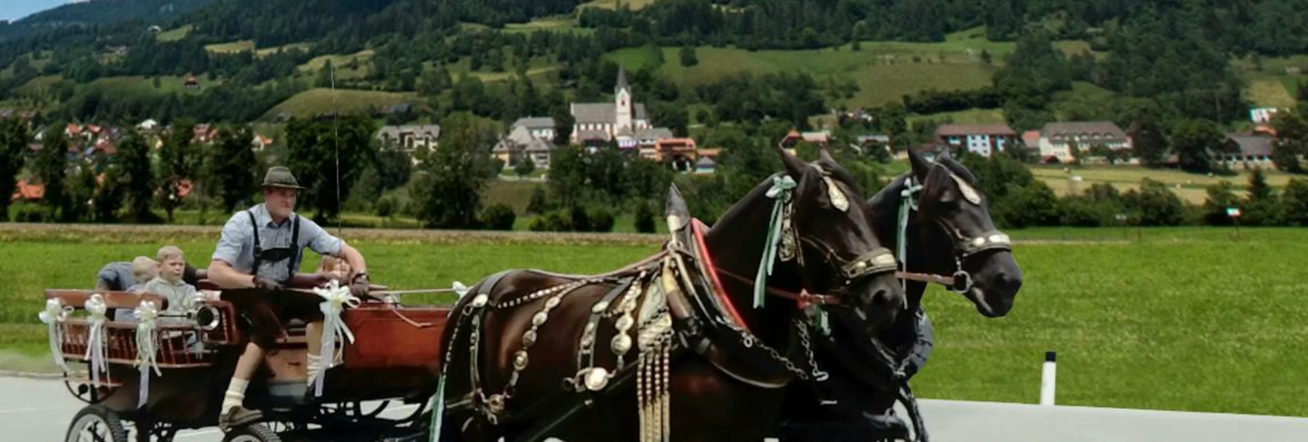 Horse Carriage Ride Horse-drawn sleigh & carriage rides - Touren-Impression #1 | © Norikerzucht Putzenbacher