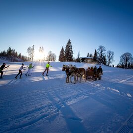 Rössing horse-drawn sleigh path in winter | © Erlebnisregion Schladming-Dachstein