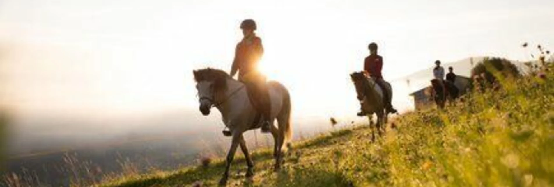 Horse Riding Seiterhof - Touren-Impression #1