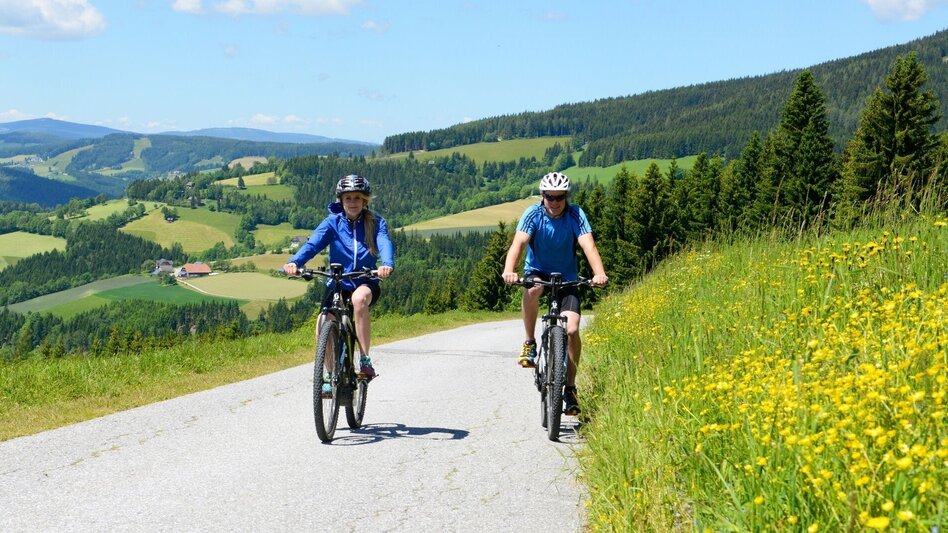 Mountainbike Der große Jogl: Wenigzell - Vorau, über die Wildwiese - Touren-Impression #2.1 | © Oststeiermark Tourismus