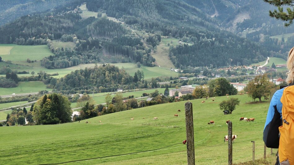 Hiking Route 3. Etappe Styrian Iron Trail- Variante Mautern - Wald am Schoberpaß - Touren-Impression #2.1 | © Weges OG