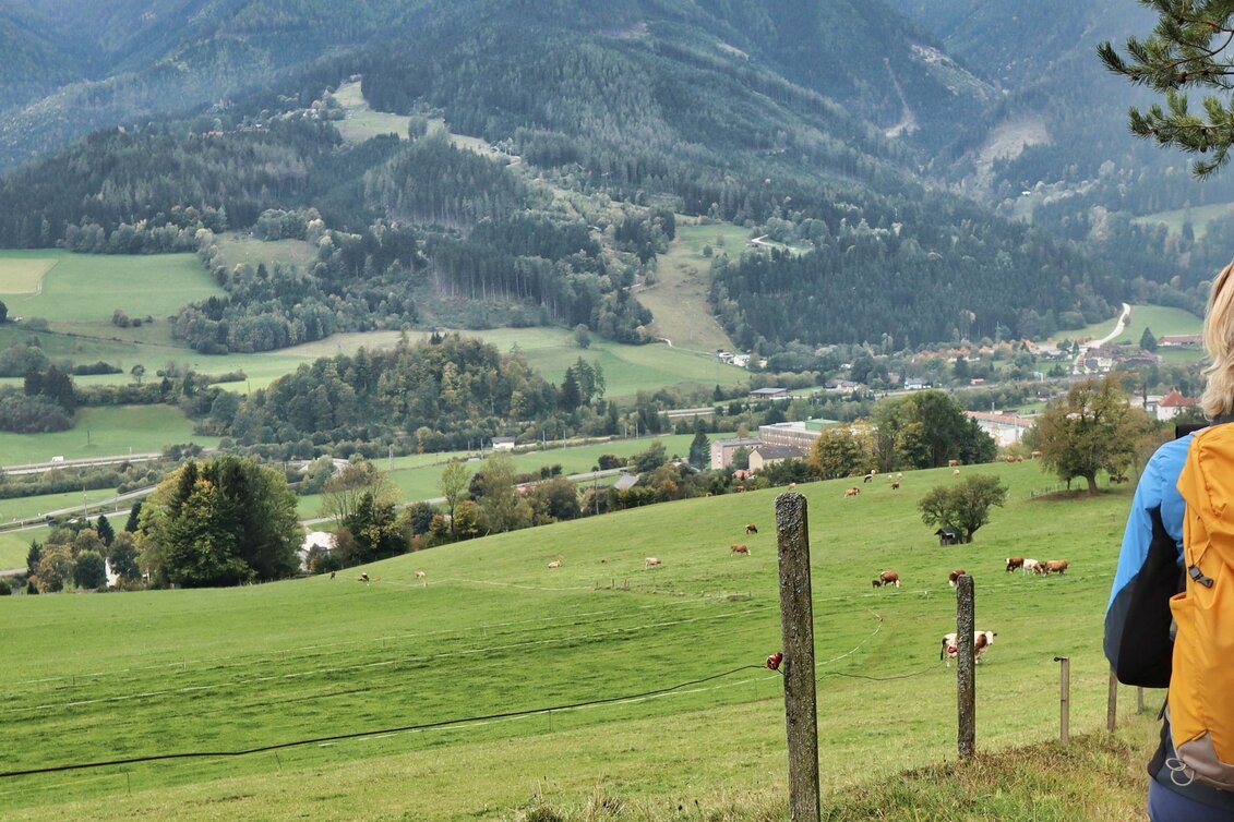 Hiking Route 3. Etappe Styrian Iron Trail- Variante Mautern - Wald am Schoberpaß - Touren-Impression #1 | © Weges OG
