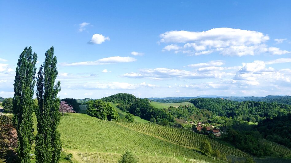 Wanderung Kleeblattwanderweg Nr. 3b - Wandern in Leutschach a.d.W. - Touren-Impression #2.2 | © Hanna Prumofsky