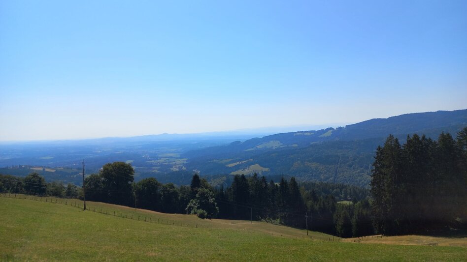Wanderung Sommerebenrundweg Nr. 58 - Touren-Impression #2.1 | © Erlebnisregion Südsteiermark - Schroettner Martina