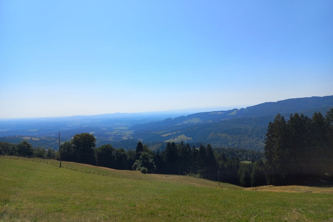 Wanderung Sommerebenrundweg Nr. 58 - Touren-Impression #1 | © Erlebnisregion Südsteiermark - Schroettner Martina
