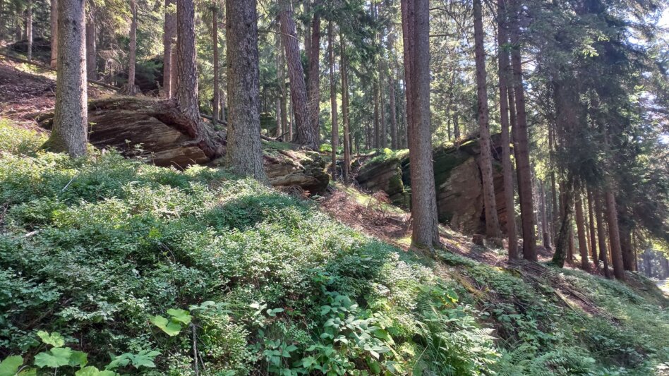 Wanderung Sommerebenrundweg Nr. 58 - Touren-Impression #2.5 | © Erlebnisregion Südsteiermark - Schroettner Martina