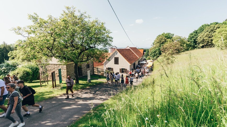 Wanderung Genusstour (Panoramaweg) Fehring - Touren-Impression #2.2 | © Stadtgemeinde Fehring