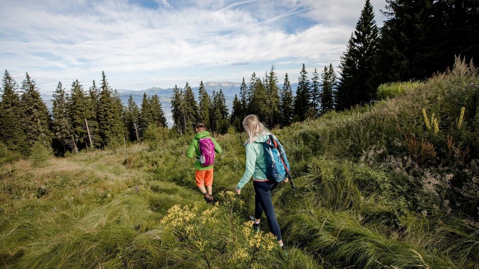 Hiking Route Stage 12: Stanglam / Wittmaierhütte – Kindberg – Alpine Inn Pölzl (Schwammerlwirt) - Touren-Impression #2.1 | © TV Hochsteiermark
