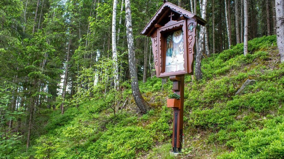 Hiking Route Stage 12: Stanglam / Wittmaierhütte – Kindberg – Alpine Inn Pölzl (Schwammerlwirt) - Touren-Impression #2.5 | © TV Hochsteiermark