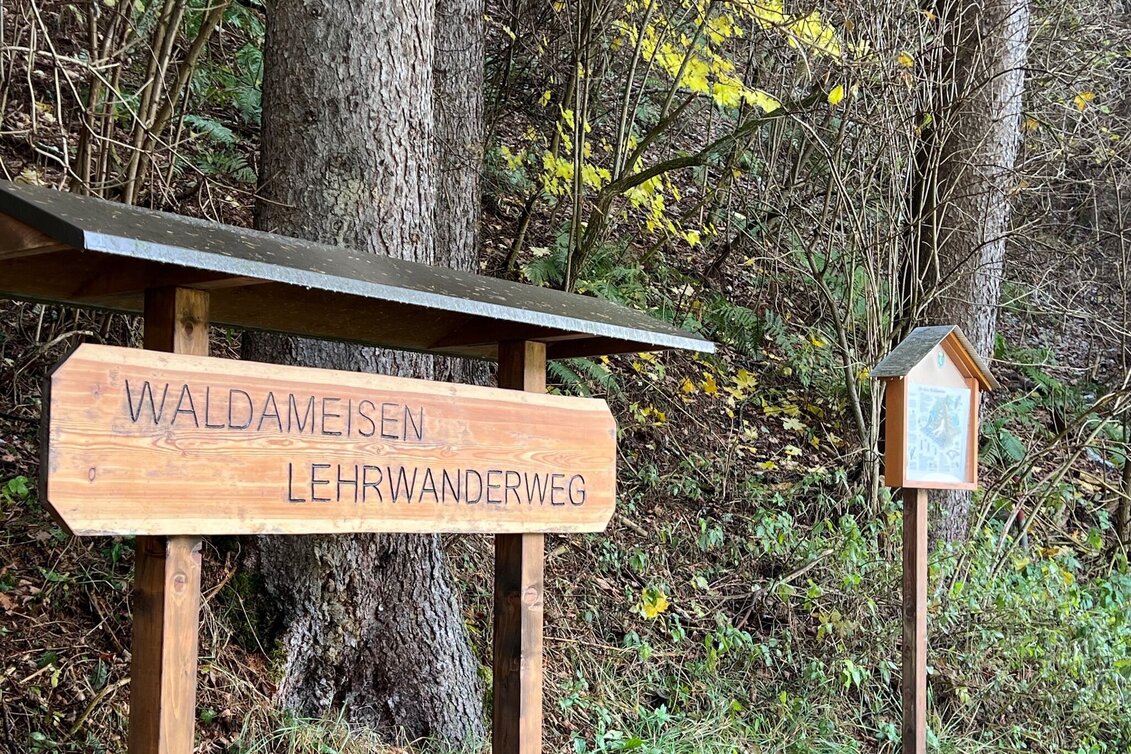 Wanderung Weg Nr. 5 Rundwanderweg Sender - Möderbach - Touren-Impression #1 | © Heidemaria Kainer
