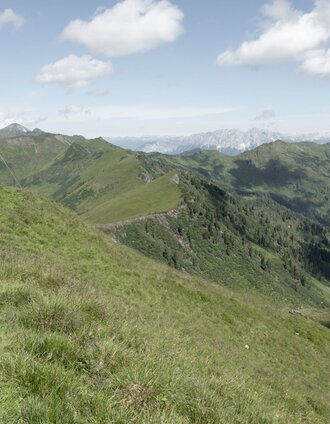 Großes Bärneck mit Grimming-Blick | Roland Gutwenger | © Tourismusverband Grimming-Donnersbachtal