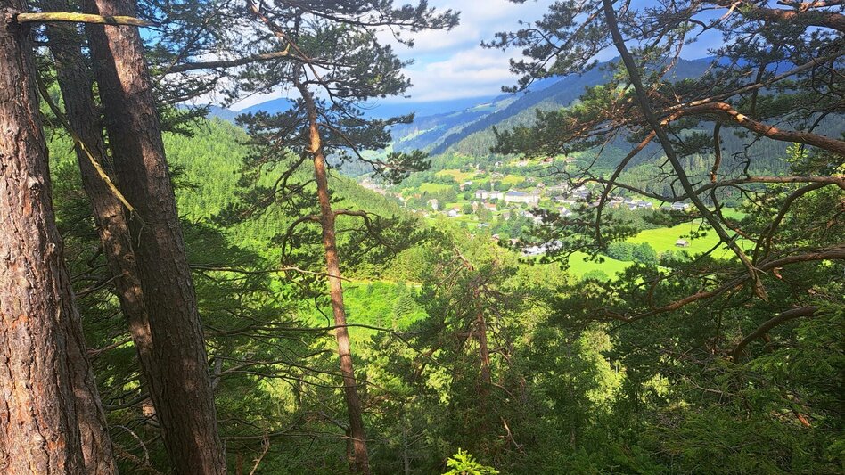 Wanderung Weg Nr. 1 Franz-Josef-Höhe - Touren-Impression #2.1 | © Hannes Steiner