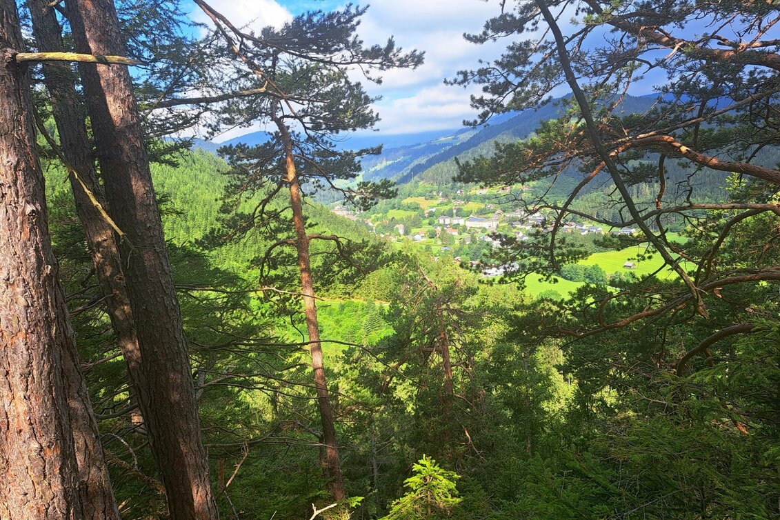 Wanderung Weg Nr. 1 Franz-Josef-Höhe - Touren-Impression #1 | © Hannes Steiner