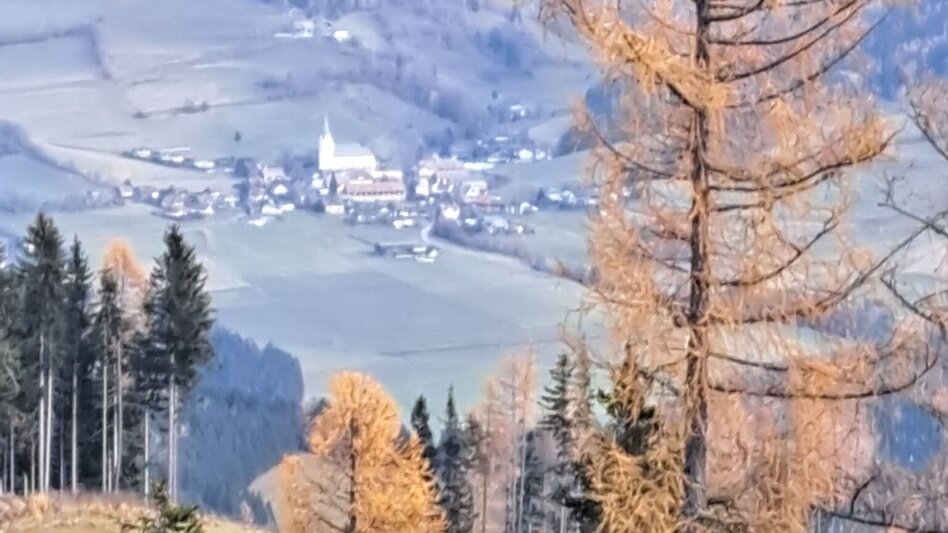 Wanderung Weg Nr. 3 Habring Runde - Touren-Impression #2.1 | © Hannes Steiner
