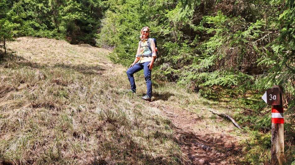 Wanderung Weg Nr. 3 Habring Runde - Touren-Impression #2.4 | © Weges OG