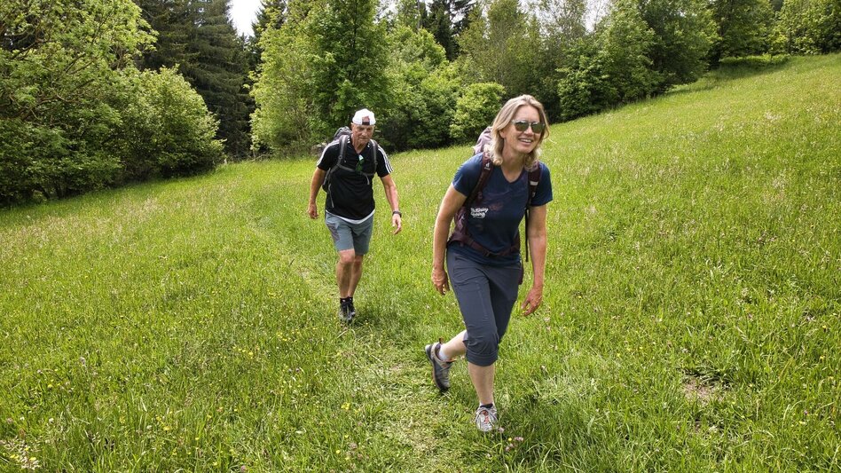 Wanderung Schöcklrunde über Schöcklkreuz - Touren-Impression #2.6 | © Weges OG