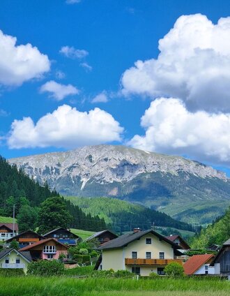 20240605_140936.jpg | Andreas Steininger | © Naturpark Mürzer Oberland