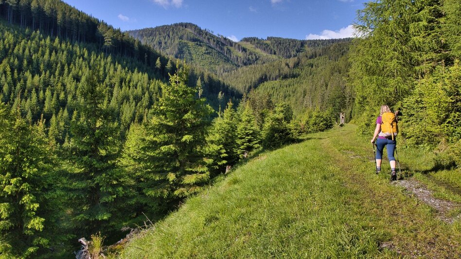 Hiking Route Feistererhorn - Touren-Impression #2.3 | © Weges OG