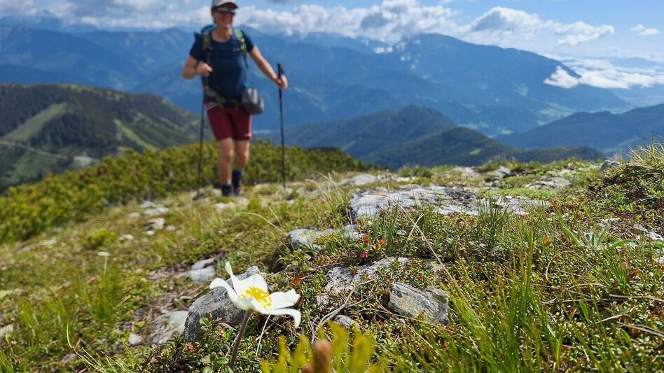 Hiking Route Feistererhorn - Touren-Impression #2.6 | © Weges OG