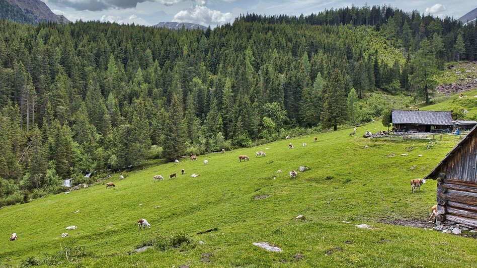 Hiking Route Feistererhorn - Touren-Impression #2.9 | © Weges OG