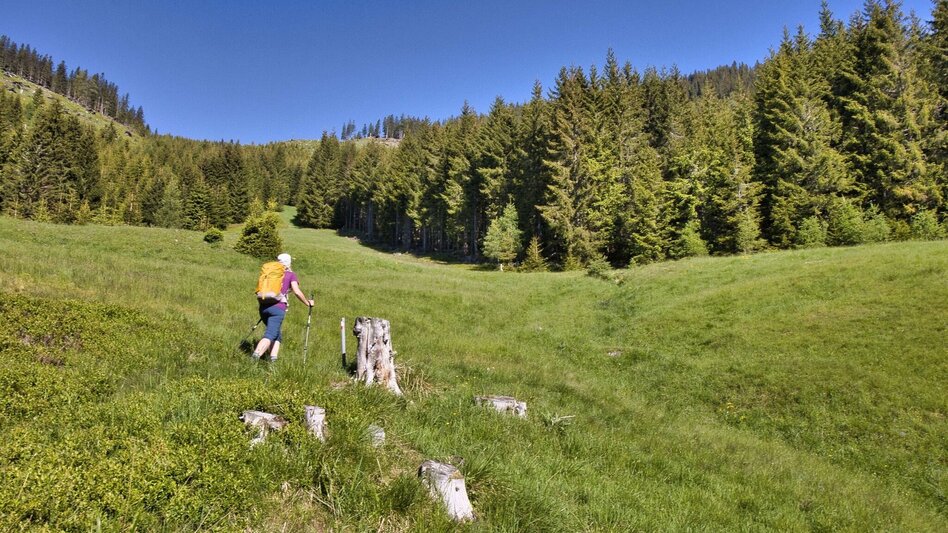 Hiking Route Feistererhorn - Touren-Impression #2.10 | © Weges OG