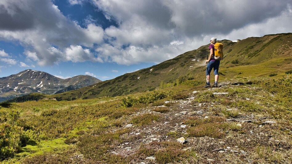 Hiking Route Feistererhorn - Touren-Impression #2.11 | © Weges OG