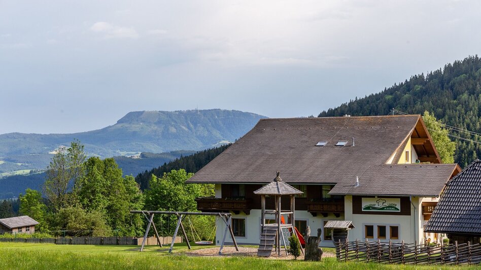 Wanderung Nechnitz-Runde über Holzskulpturenweg, Nechnitz - Touren-Impression #2.4 | © Oststeiermark Tourismus