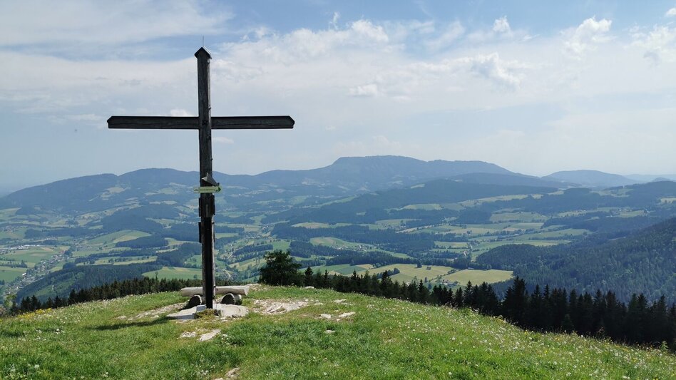 Wanderung Nechnitz-Runde über Holzskulpturenweg, Nechnitz - Touren-Impression #2.6 | © Oststeiermark Tourismus