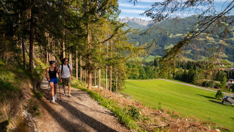 Wanderung Kinderwagenrundweg Sattelberg - Touren-Impression #2.5 | © Christine Höflehner