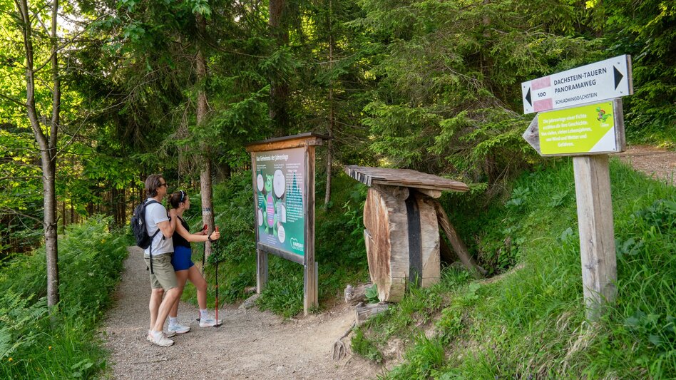 Wanderung Kinderwagenrundweg Sattelberg - Touren-Impression #2.6 | © Christine Höflehner