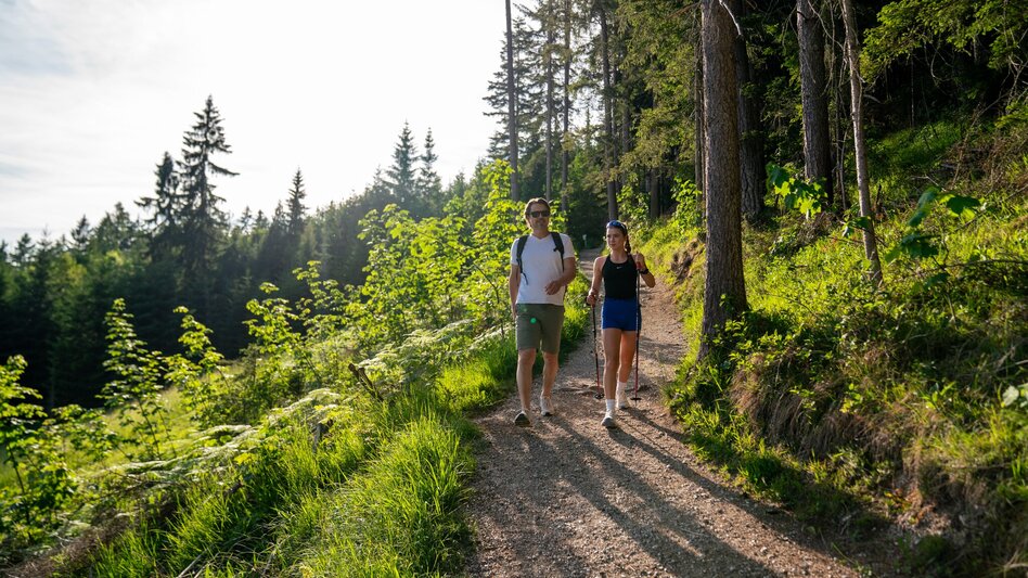 Wanderung Kinderwagenrundweg Sattelberg - Touren-Impression #2.8 | © Christine Höflehner