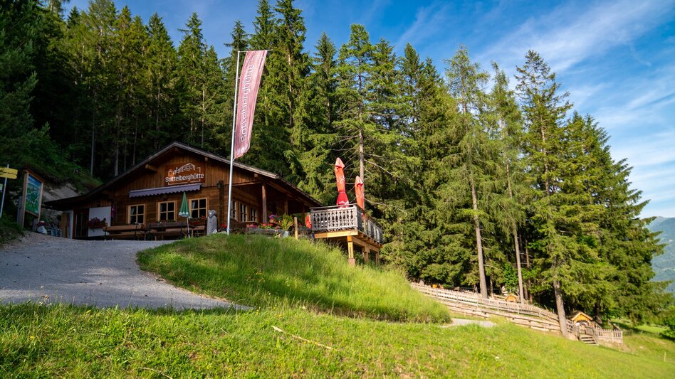 Wanderung Kinderwagenrundweg Sattelberg - Touren-Impression #2.10 | © Christine Höflehner