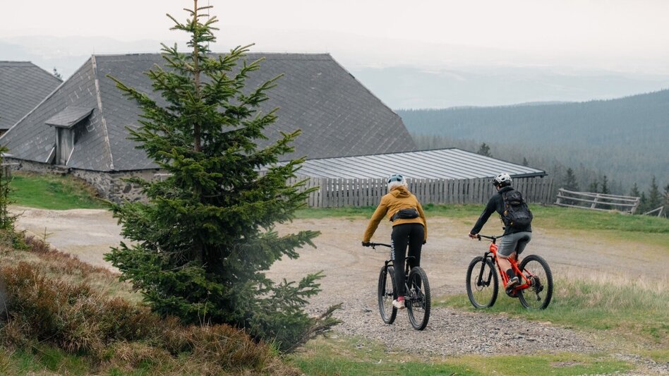 Mountain Biking Wexl Trails -  Summit tour via the Vorauer Schwaig - Touren-Impression #2.1 | © Verein Tourismusentwicklung Steirischer Wechsel