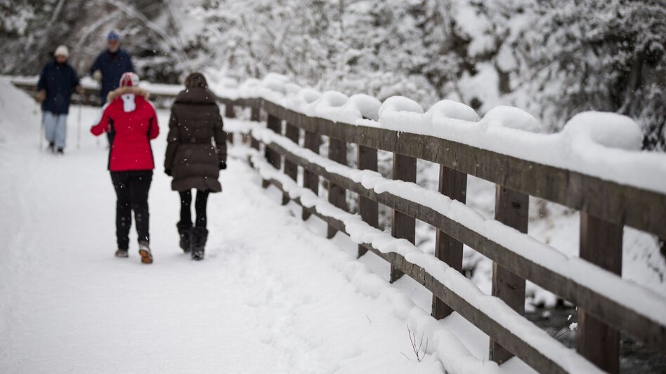 Promenade Route Winterwanderweg Talbachklamm - Touren-Impression #2.4 | © Tourismusverband Schladming - Harald Steiner