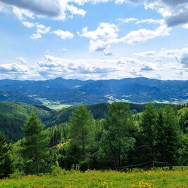 Blick vom Herzogberg auf das Mürztal | © TV Hochsteiermark