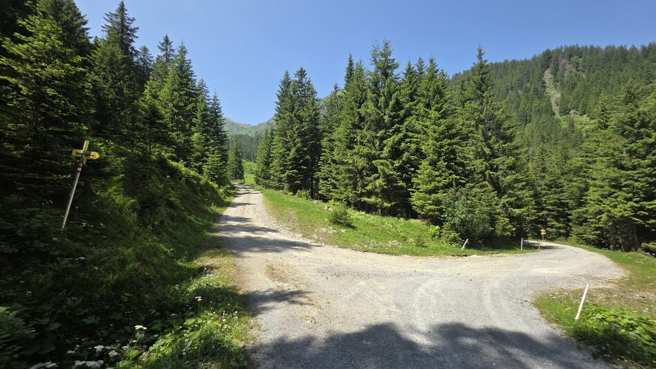 Wanderung Auf die Kälberalm - Himmlisches Platzerl 4 - Touren-Impression #2.2 | © Marlene Zandl