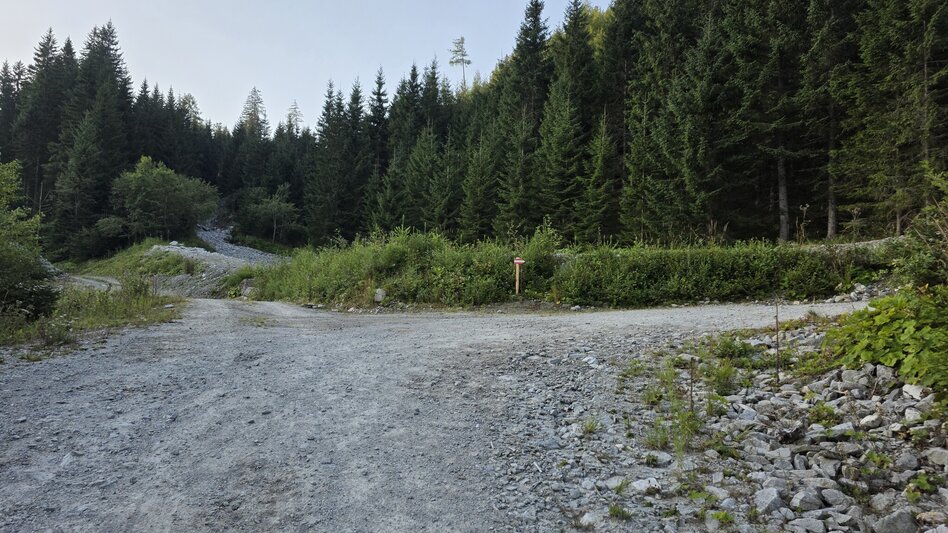 Wanderung Wanderung zum Eberlsee - Touren-Impression #2.3 | © Marlene Zandl