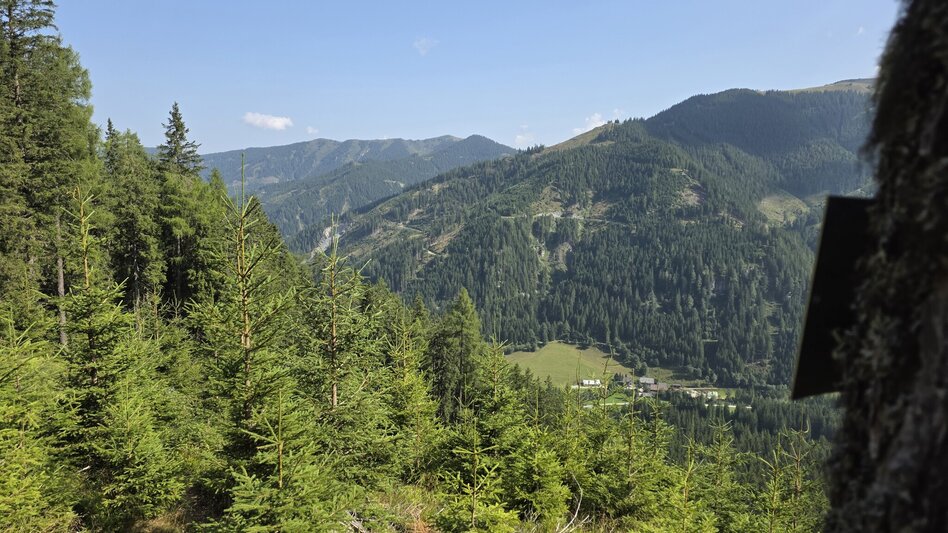 Wanderung Wanderung zum Eberlsee - Touren-Impression #2.9 | © Marlene Zandl
