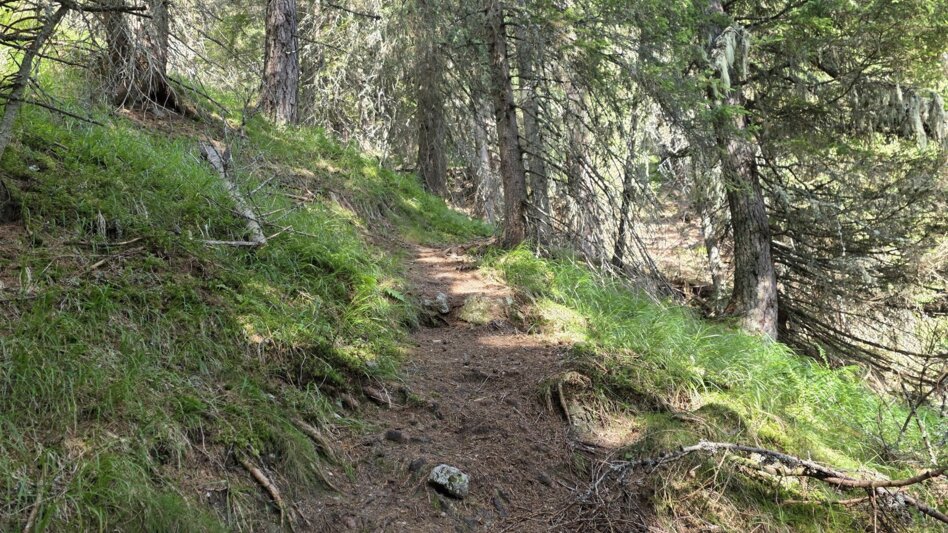 Wanderung Wanderung zum Eberlsee - Touren-Impression #2.14 | © Marlene Zandl