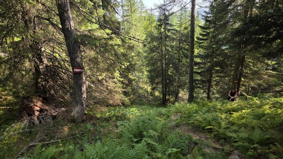 Wanderung Wanderung zum Eberlsee - Touren-Impression #2.15 | © Marlene Zandl