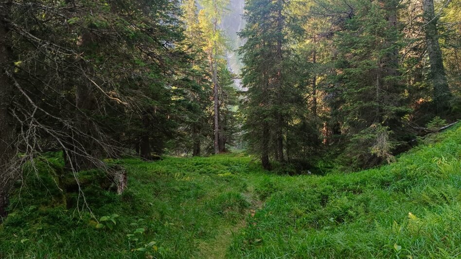 Wanderung Wanderung zum Eberlsee - Touren-Impression #2.16 | © Yvonne Ernst
