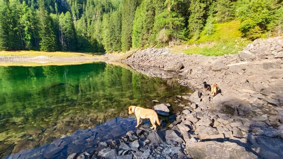 Wanderung Wanderung zum Eberlsee - Touren-Impression #2.20 | © Yvonne Ernst