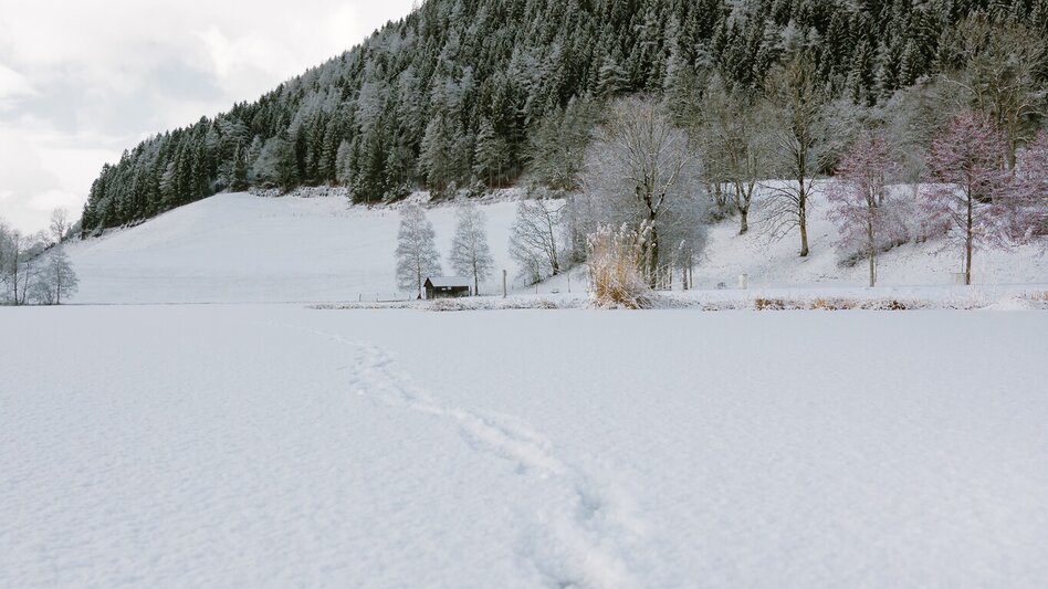Hiking Route Putterersee and Kulm Tour from Stainach to Aigen - Touren-Impression #2.4 | © Christoph Lukas