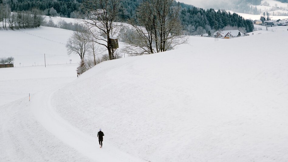 Hiking Route Putterersee and Kulm Tour from Stainach to Aigen - Touren-Impression #2.2 | © Christoph Lukas