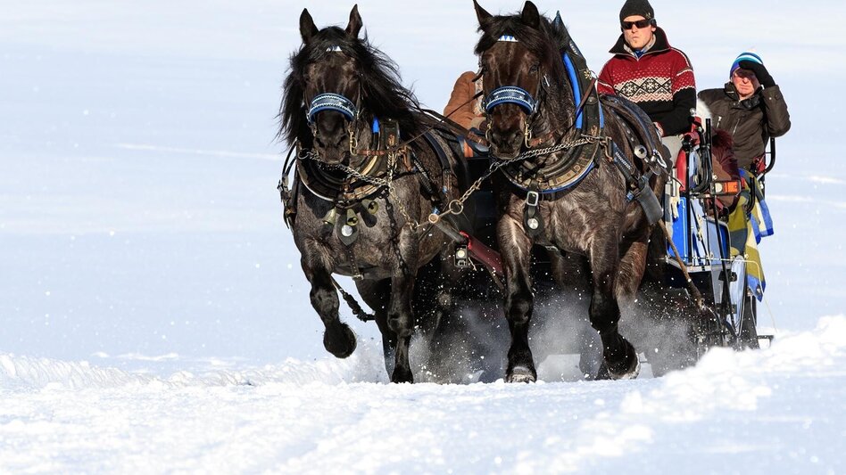 Horse Carriage Ride Sleigh ride to Obertal valley - Touren-Impression #2.1 | © Tourismusverband Schladming - Martin Huber