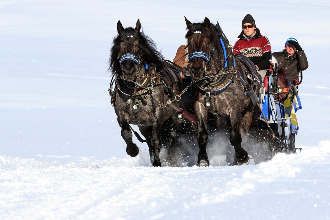Horse Carriage Ride Sleigh ride to Obertal valley - Touren-Impression #1 | © Tourismusverband Schladming - Martin Huber