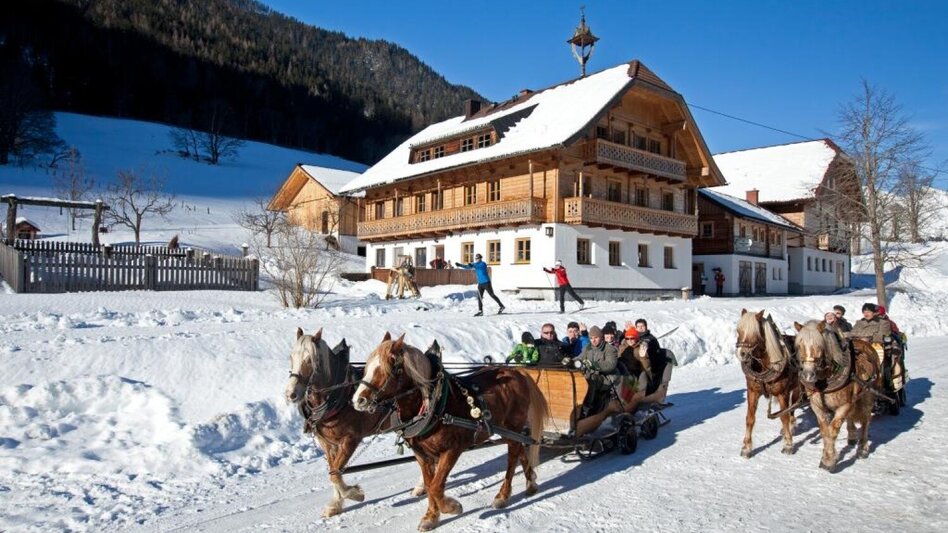 Horse Carriage Ride Sleigh ride to Obertal valley - Touren-Impression #2.3 | © Erlebnisregion Schladming-Dachstein